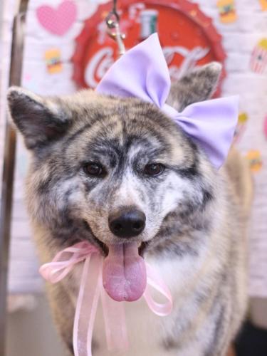 20230918むぎくん